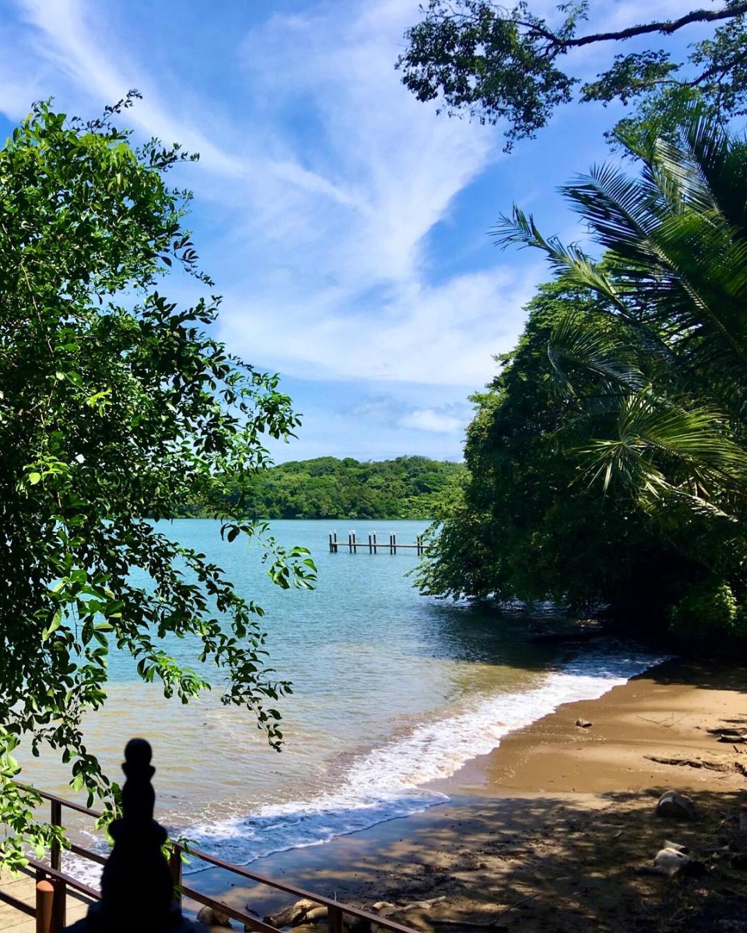 Seagull Cove Hotel 5*