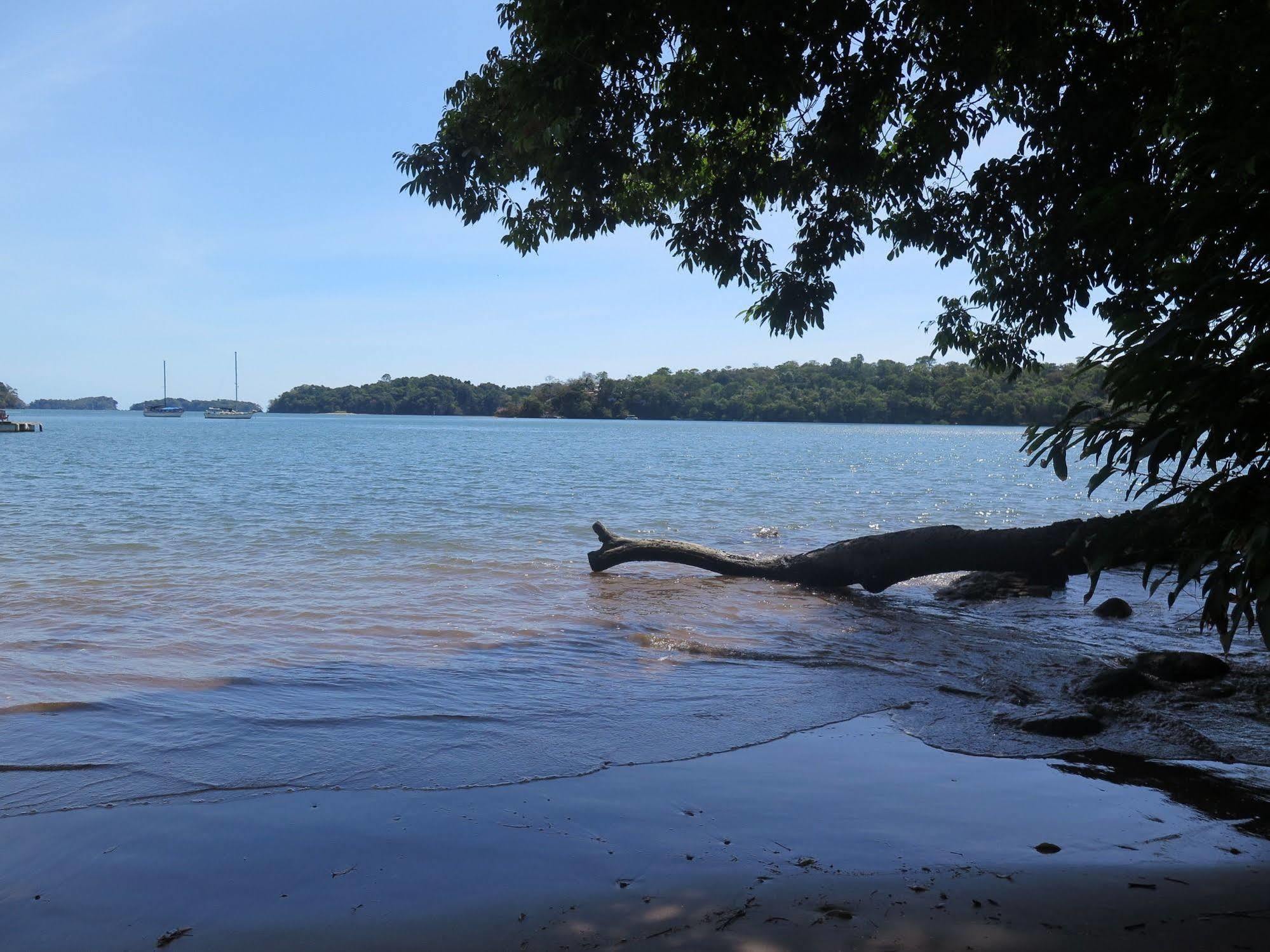 Seagull Cove Hotel Boca Chica