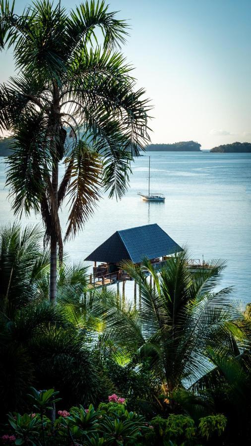 Hotel Seagull Cove 5*