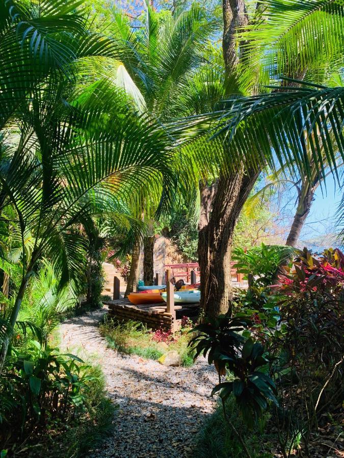 Hotel Seagull Cove 5*