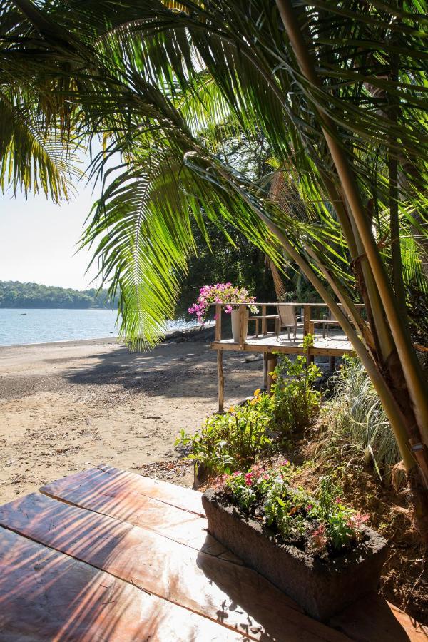 Seagull Cove Hotel